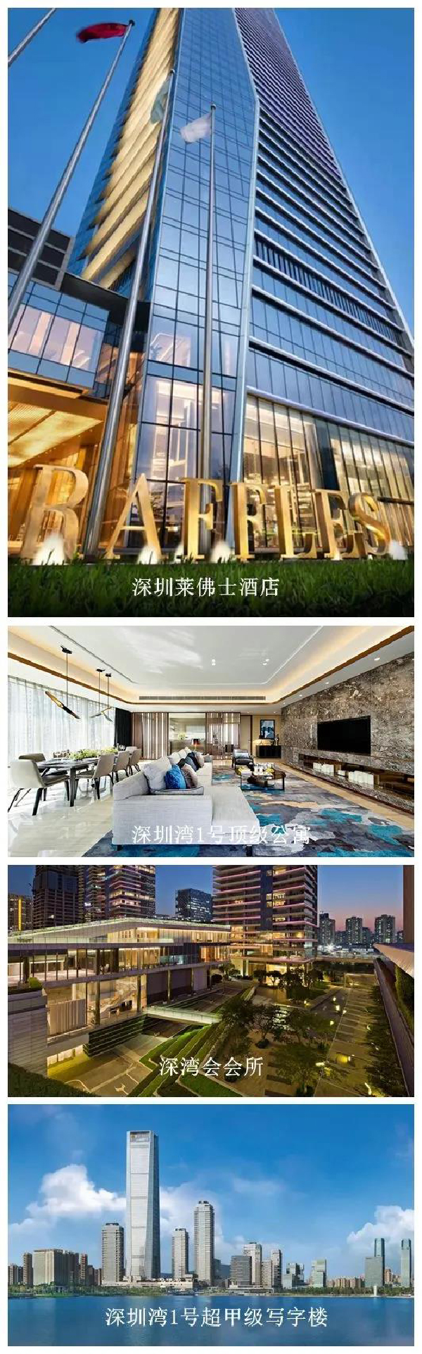 維業(yè)股份打造的深圳灣1號系列工程.jpg 維業(yè)股份打造的深圳灣1號系列工程.jpg